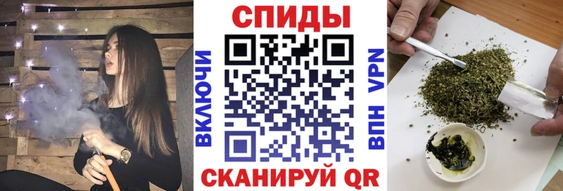 Купить где  Куса  БУТИРАТ буратино 