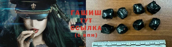 apvp Инта