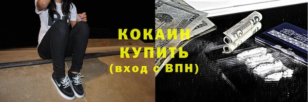 apvp Инта