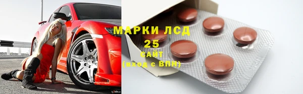 apvp Инта
