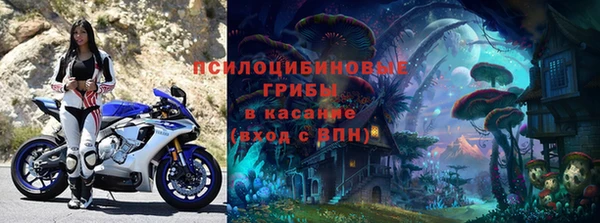 apvp Инта