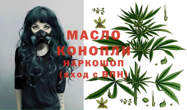 apvp Инта