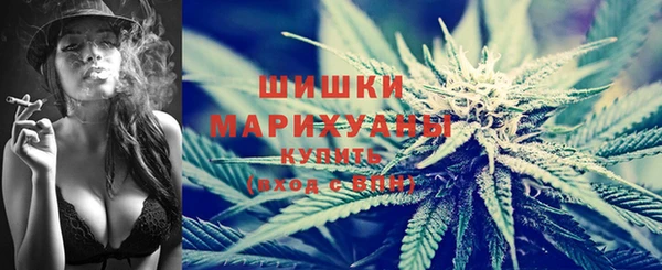 apvp Инта