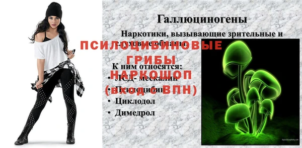 крисы Иннополис