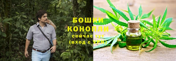 apvp Инта