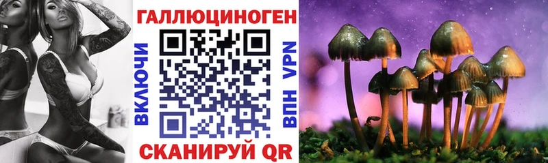 Купить  Куса  Псилоцибиновые грибы Magic Shrooms 
